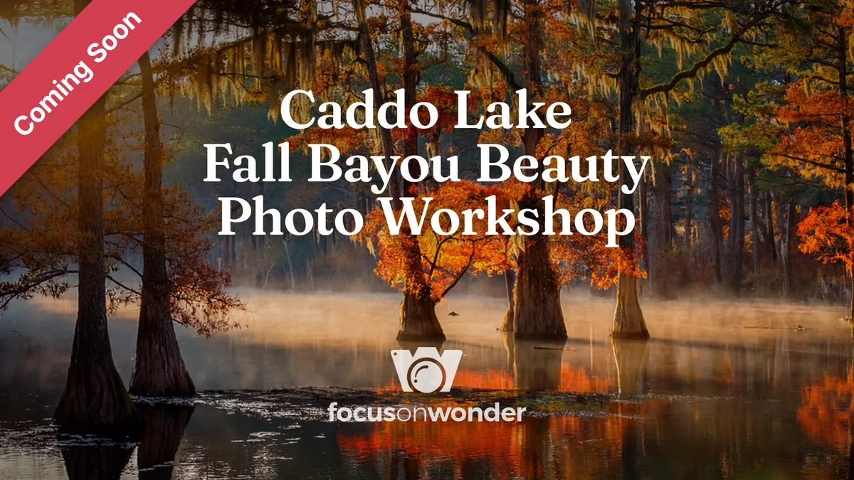 Caddo Lake Fall Bayou Beauty Photo Workshop promotional graphic — Coming Soon