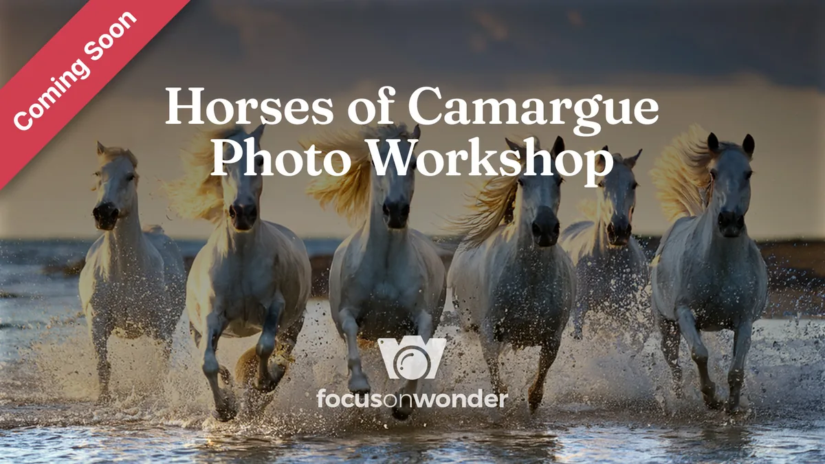 White Horses of Camargue Photo Workshop promotional graphic — Coming Soon