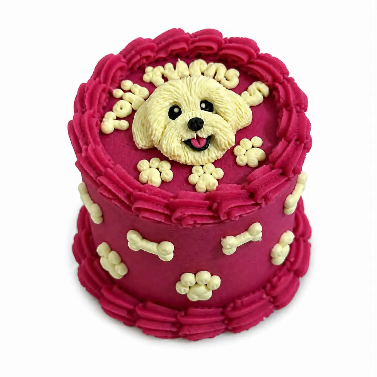 Bento Portrait Cake