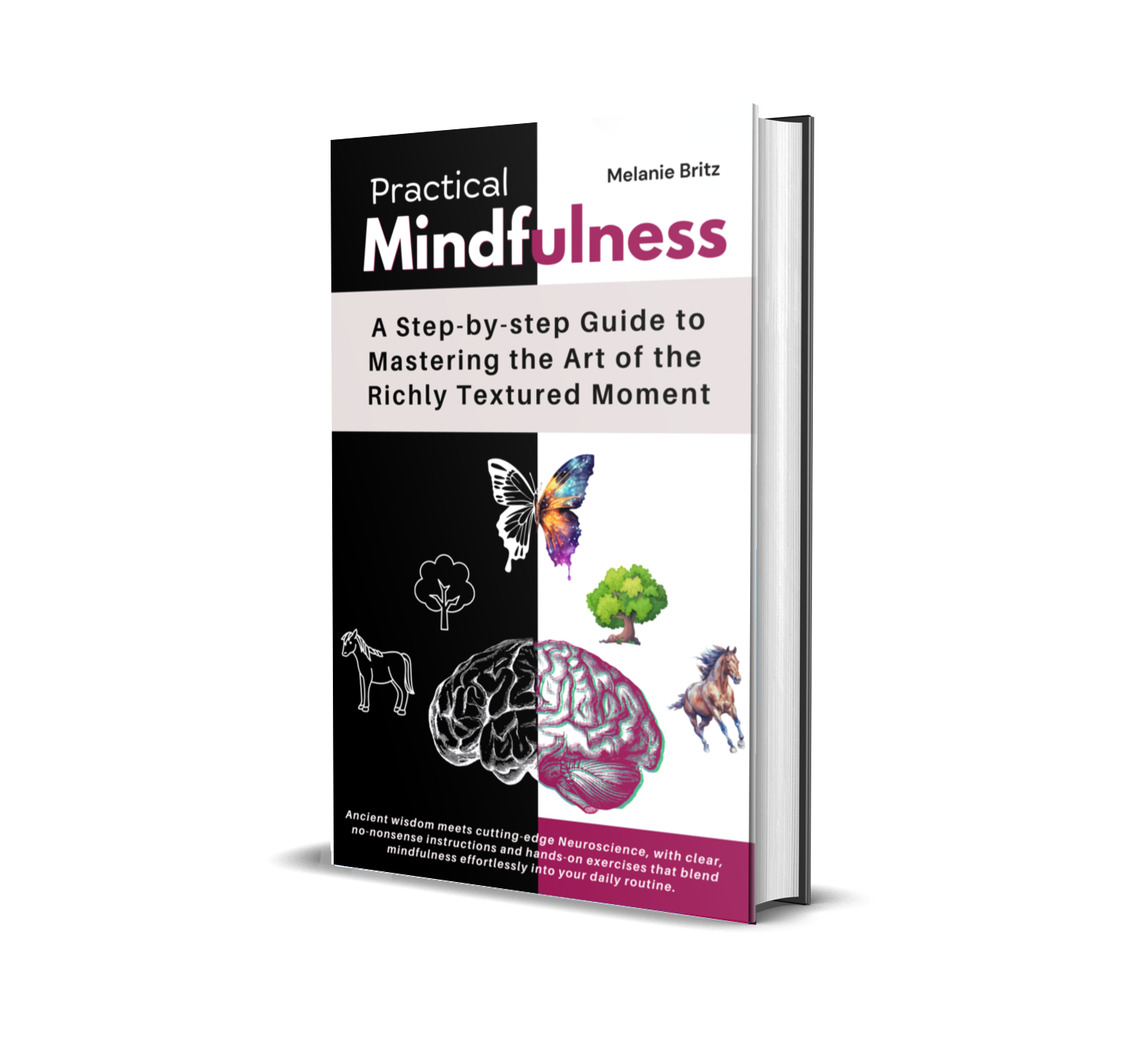 Practical Mindfulness book cover
