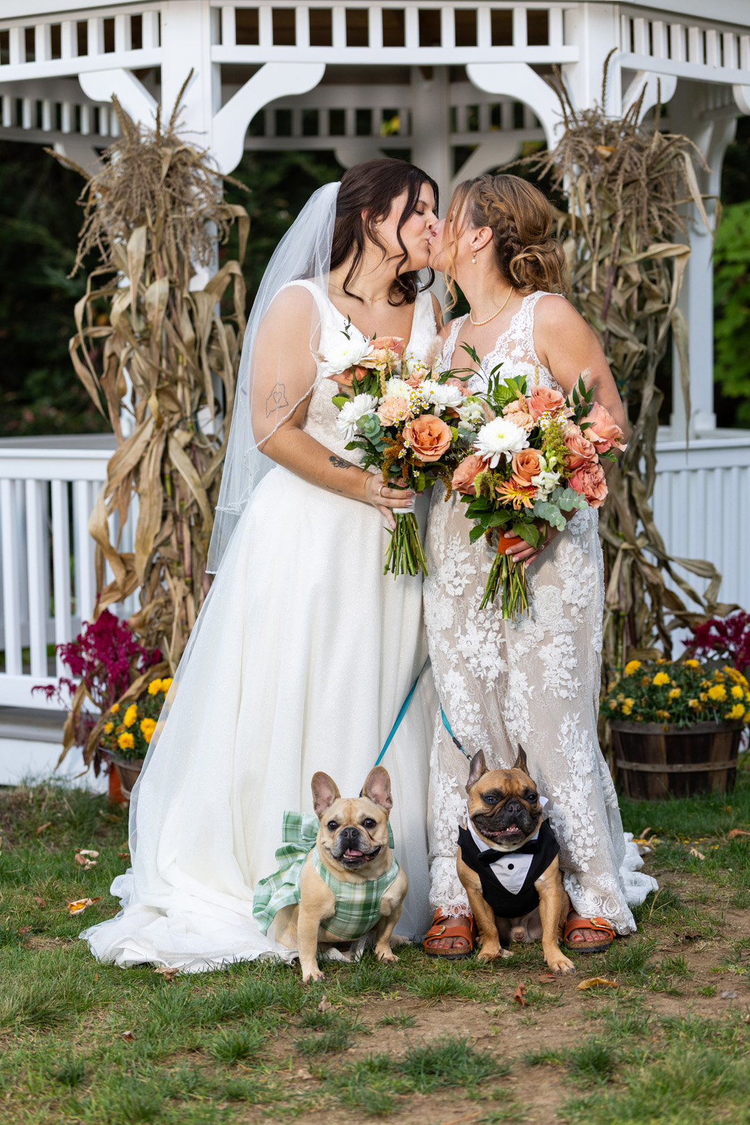 wedding photo & video