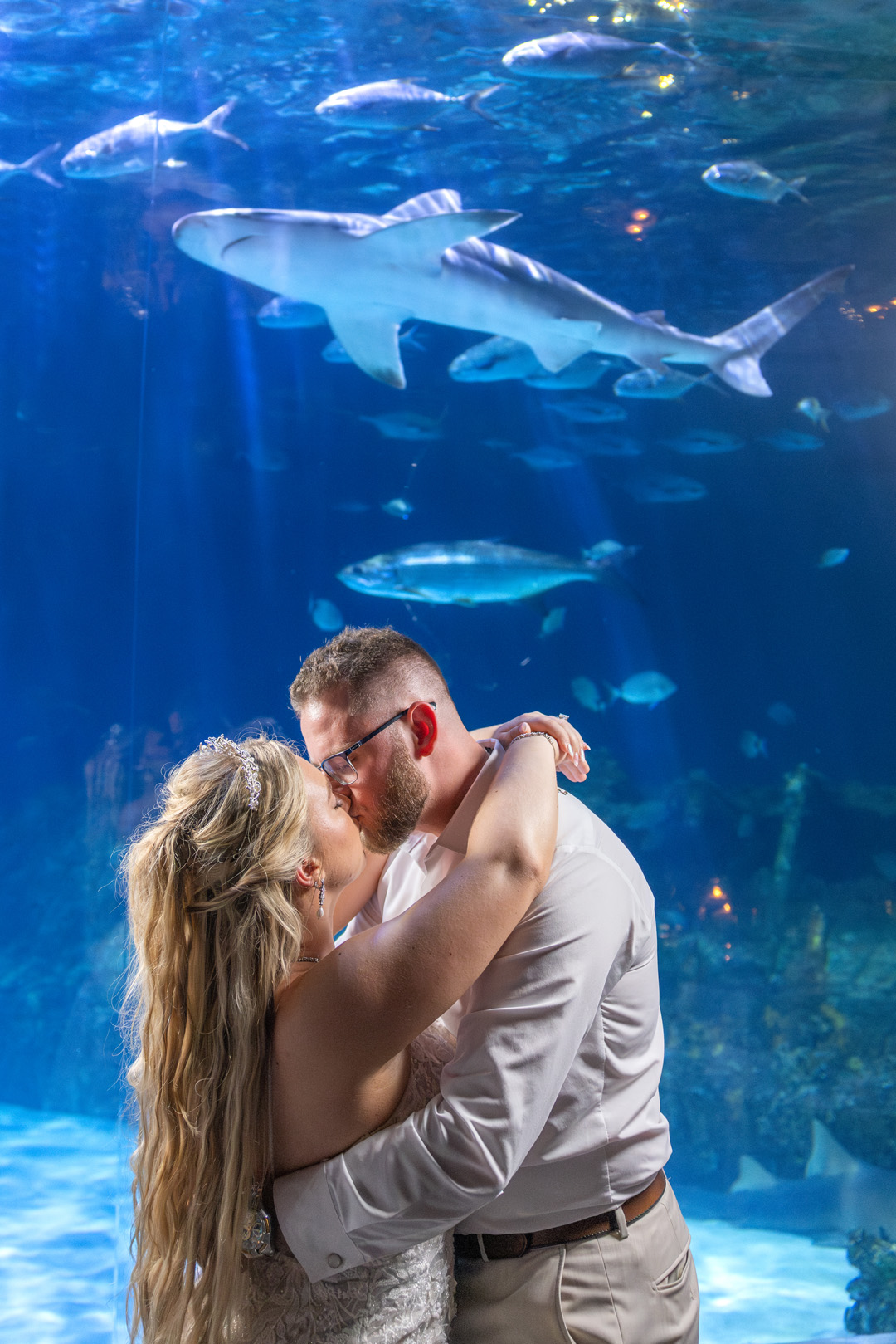 wedding photo & video