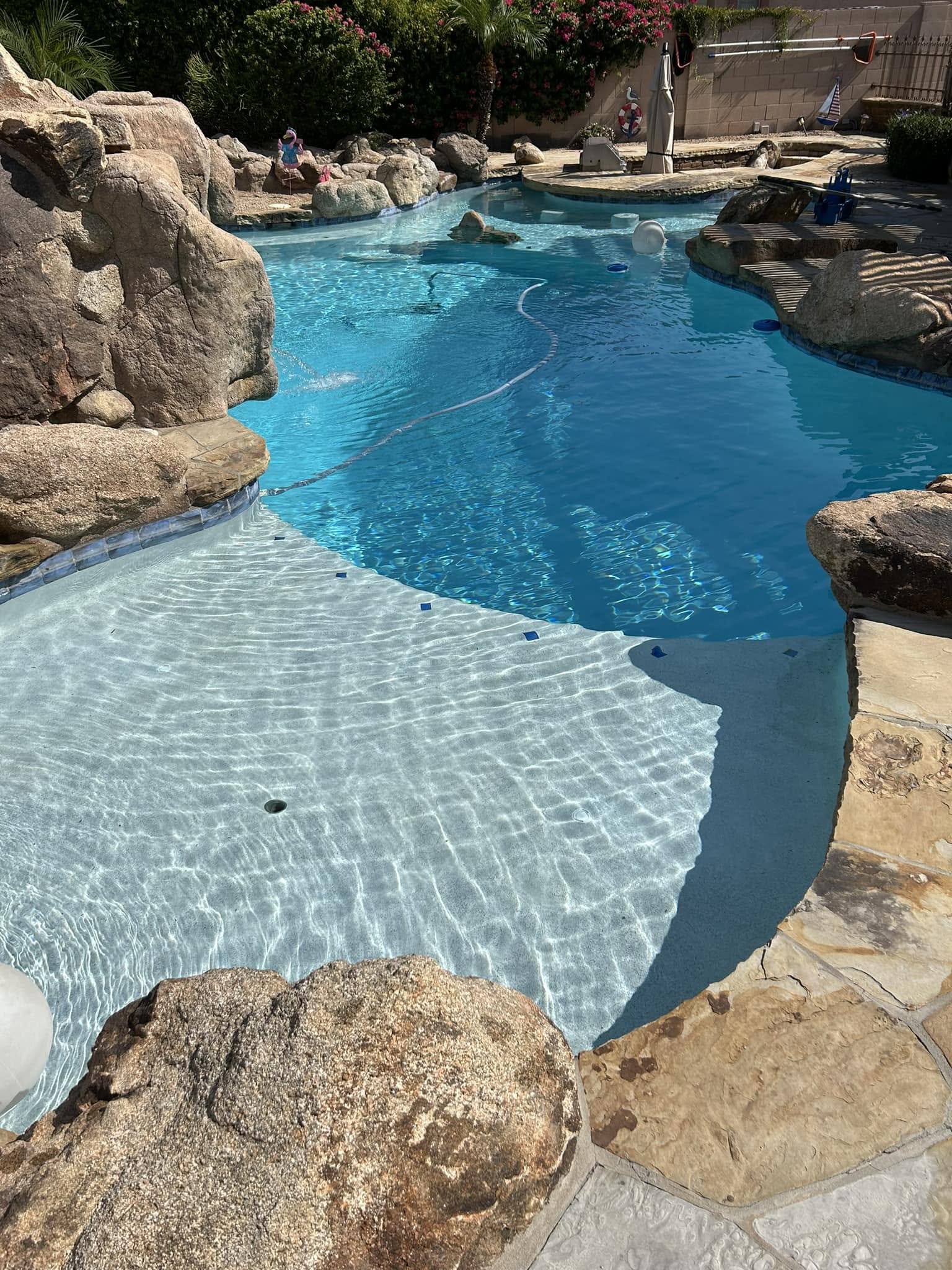 Clean swimming pool in Glendale backyard