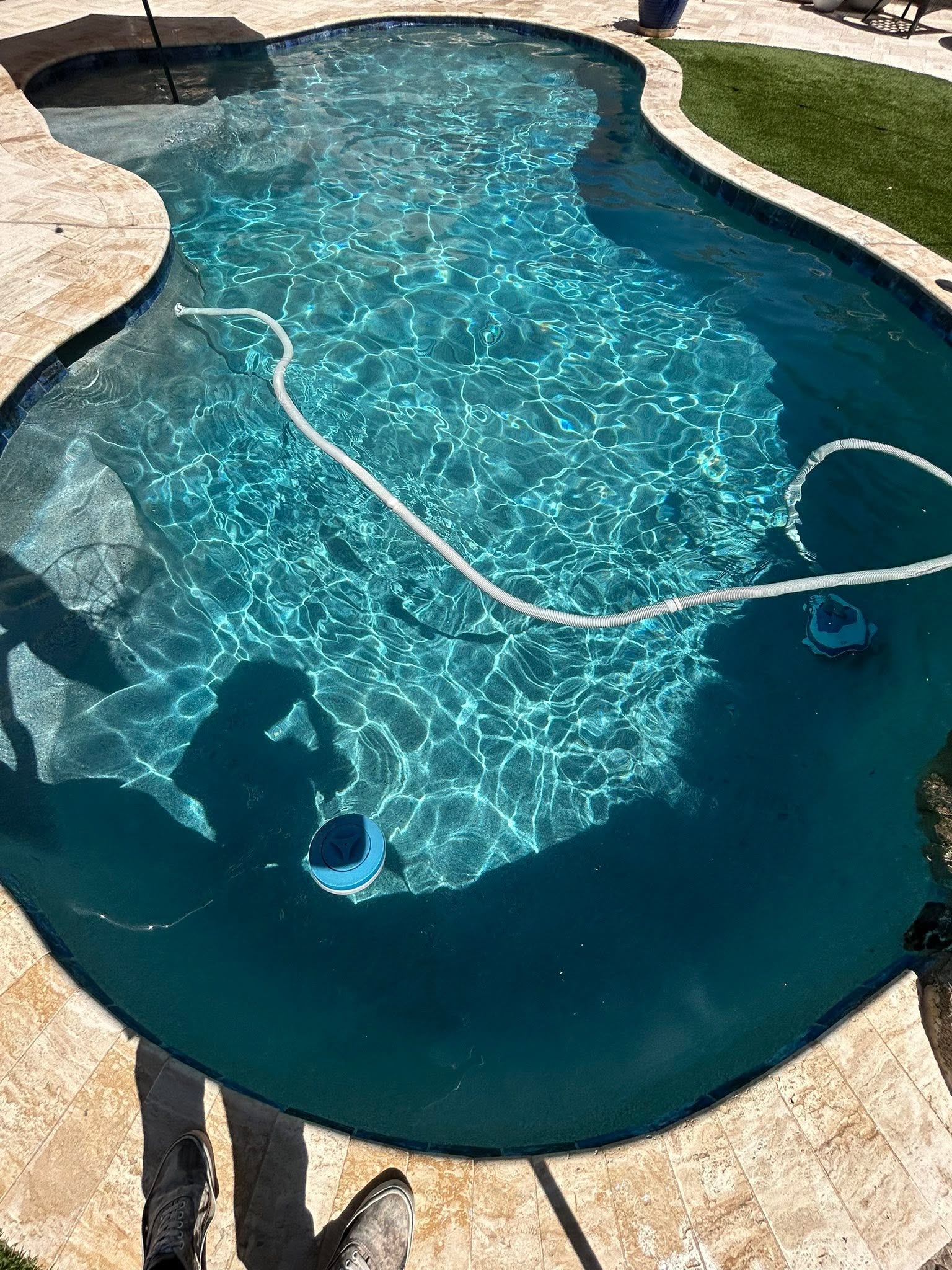 Pool cleaning service in Glendale AZ backyard pool