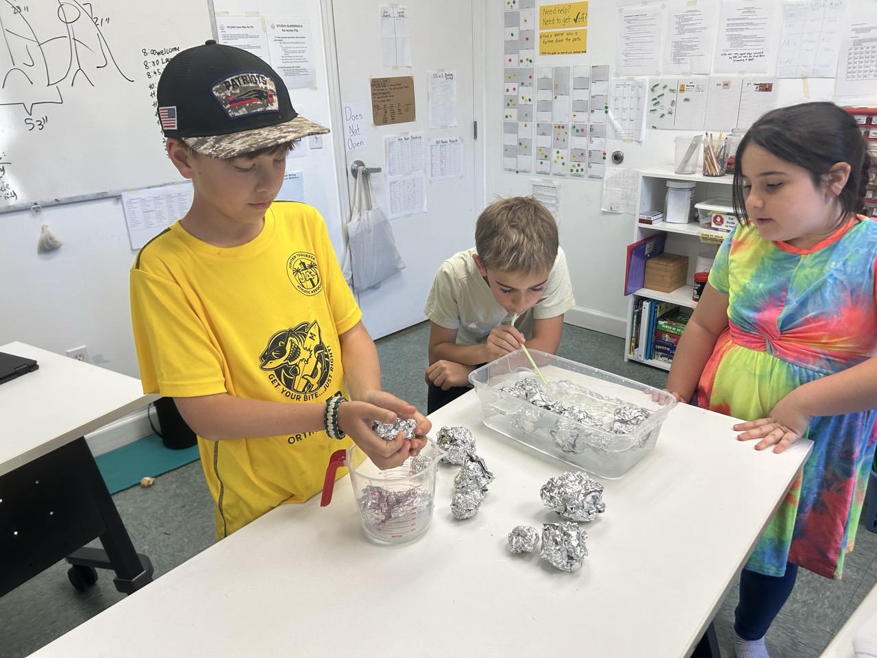 Marine biology quest