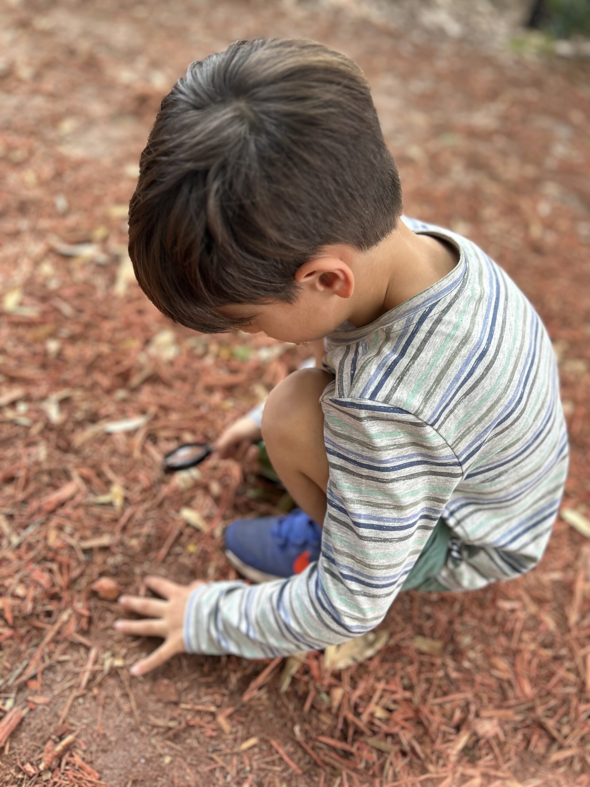 Spark learners exploring outdoors, learning by doing