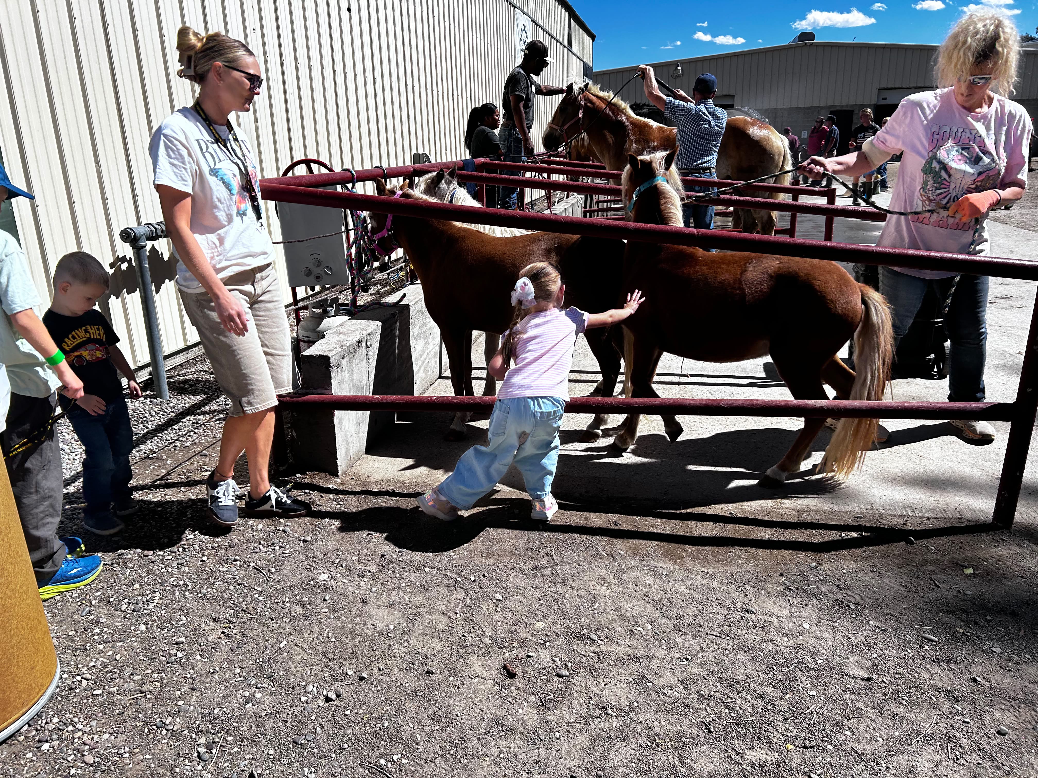 Families enjoying the livestock exhibits at the Eastern Idaho State Fair in Blackfoot, Idaho Families enjoying the livestock exhibits at the Eastern Idaho State Fair in Blackfoot, Idaho