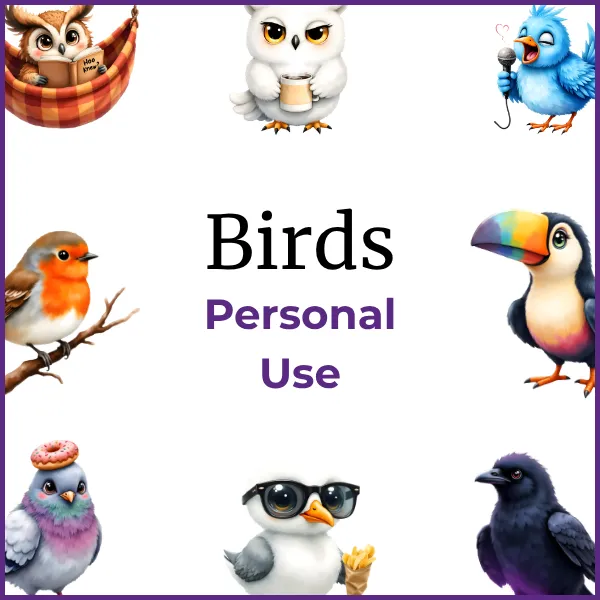 Introvert Birds 69fa3f377167fd9a359291ef.webp