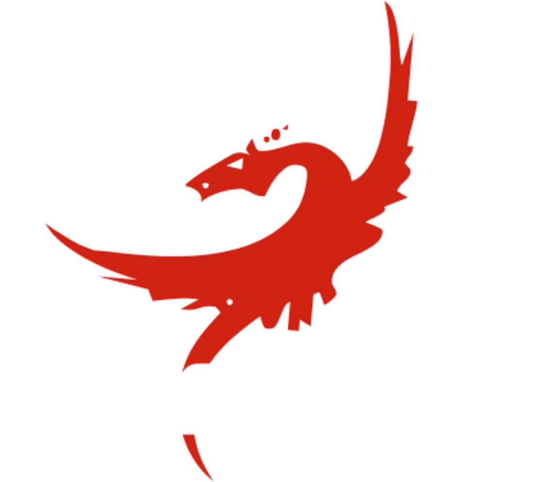 Dragon Health and Fitness Website