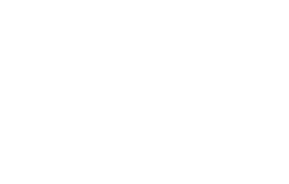 Sponsor