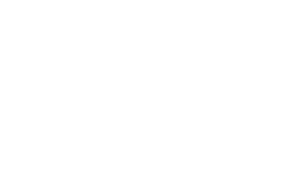 Sponsor