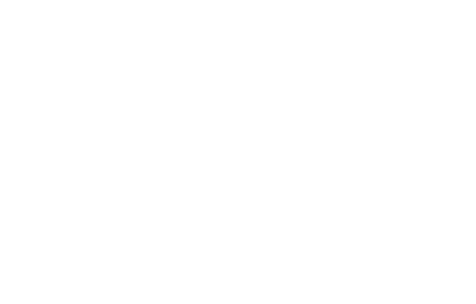 Sponsor