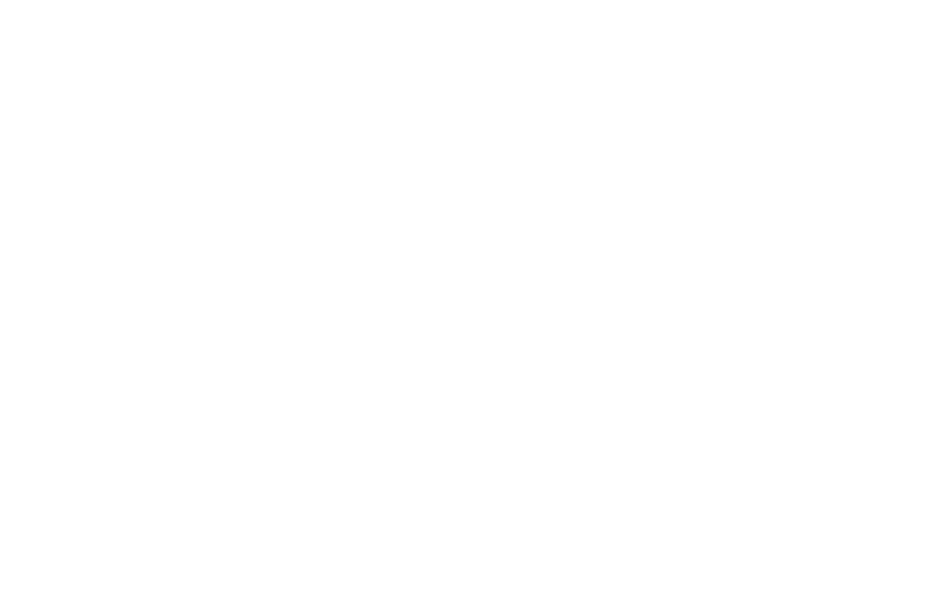 Sponsor