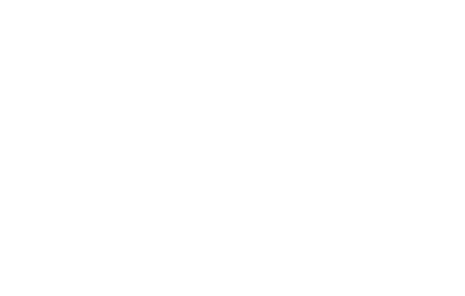 Sponsor