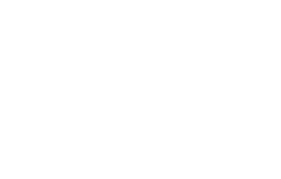 Sponsor