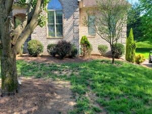 {{ custom_values.service_1 }} in {{custom_values.area_3})