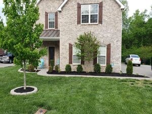 {{ custom_values.service_2 }} in {{custom_values.area_3})