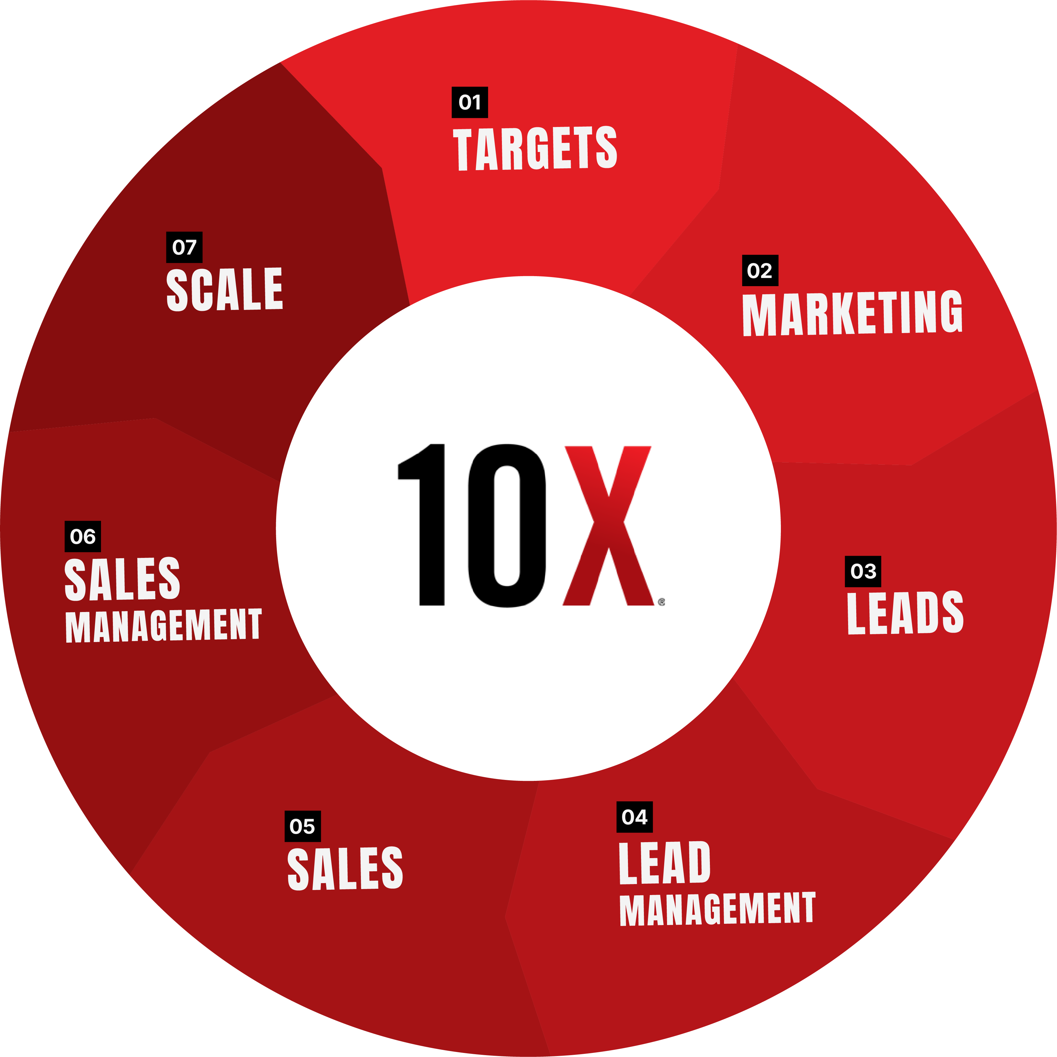 The 7 step system wheel
