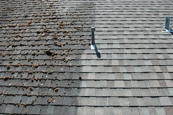 Power washing project in Greater Boston by Seven Star Home Improvement (6)