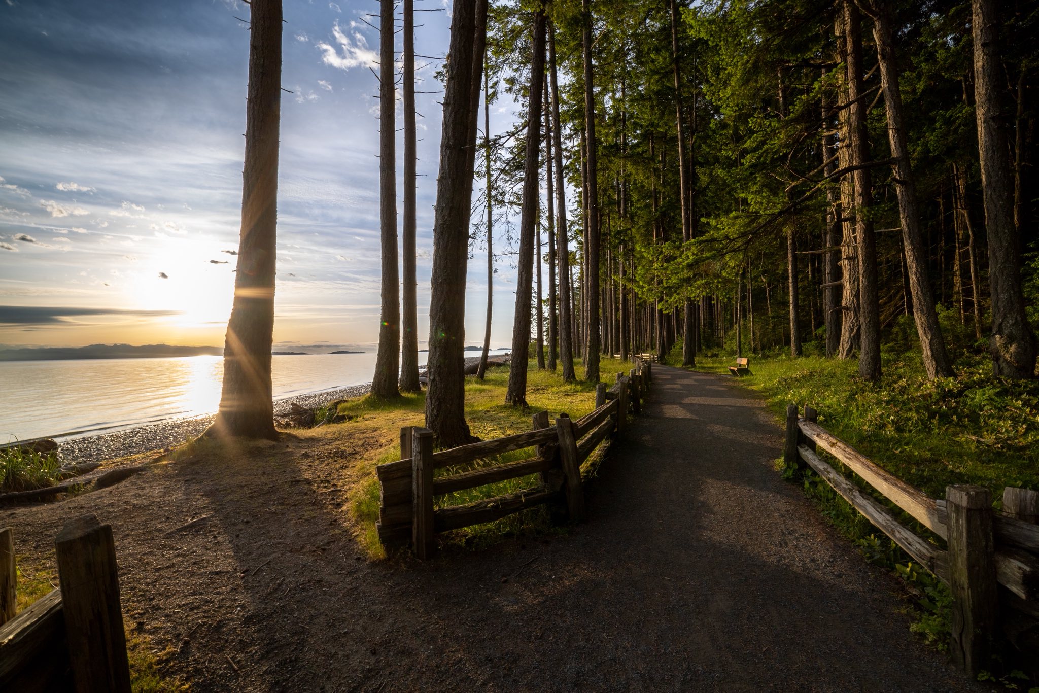Coastal trail at sunset along Vancouver Island