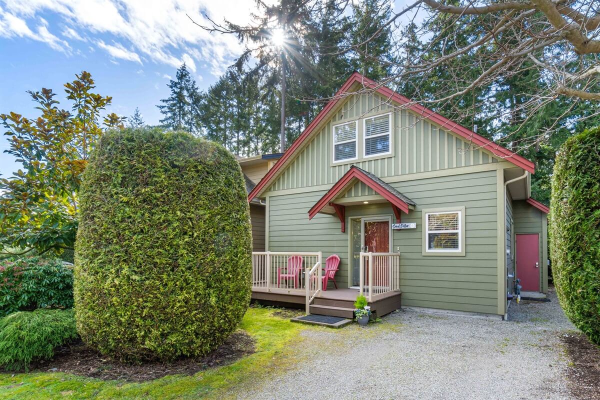 Sand Dollar — back exterior