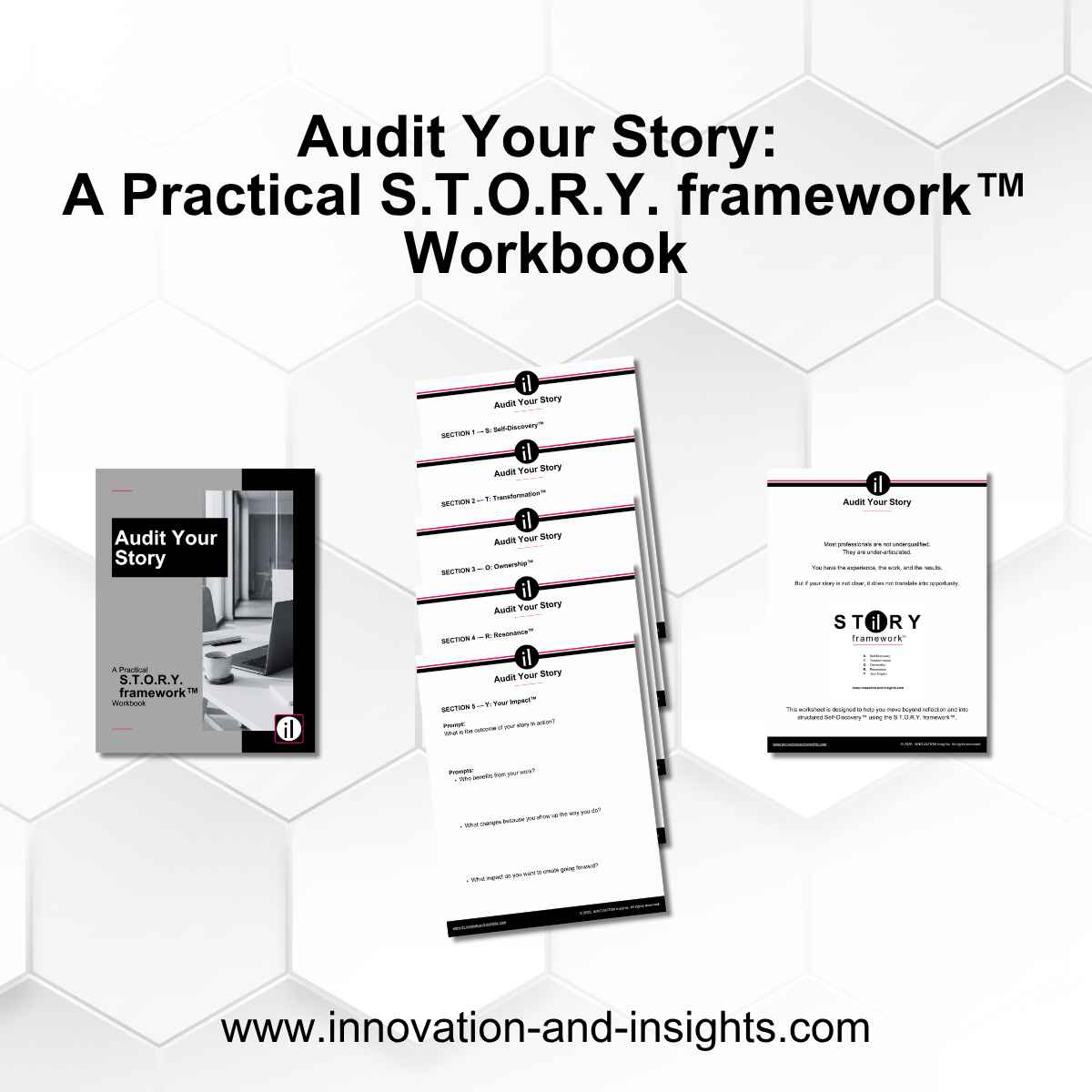 Homepage screenshot of audit-your-story.innovation-and-insights.com