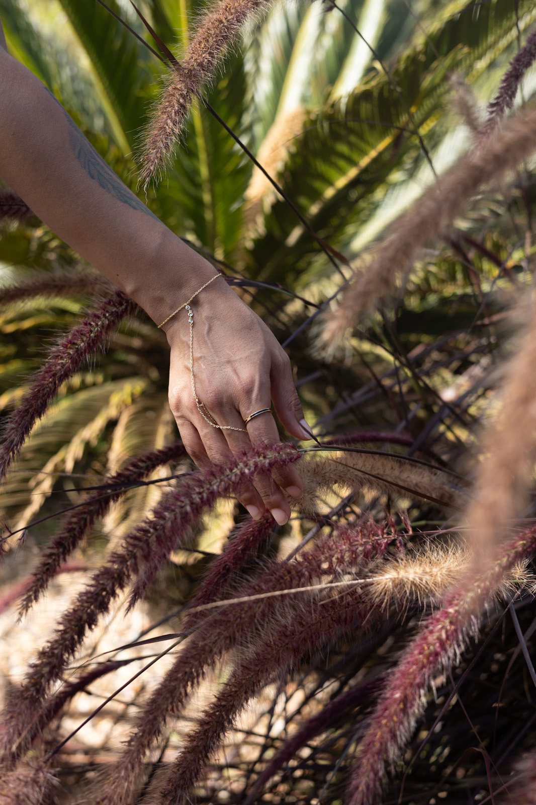 Andrea’s hand brushing through burgundy grasses