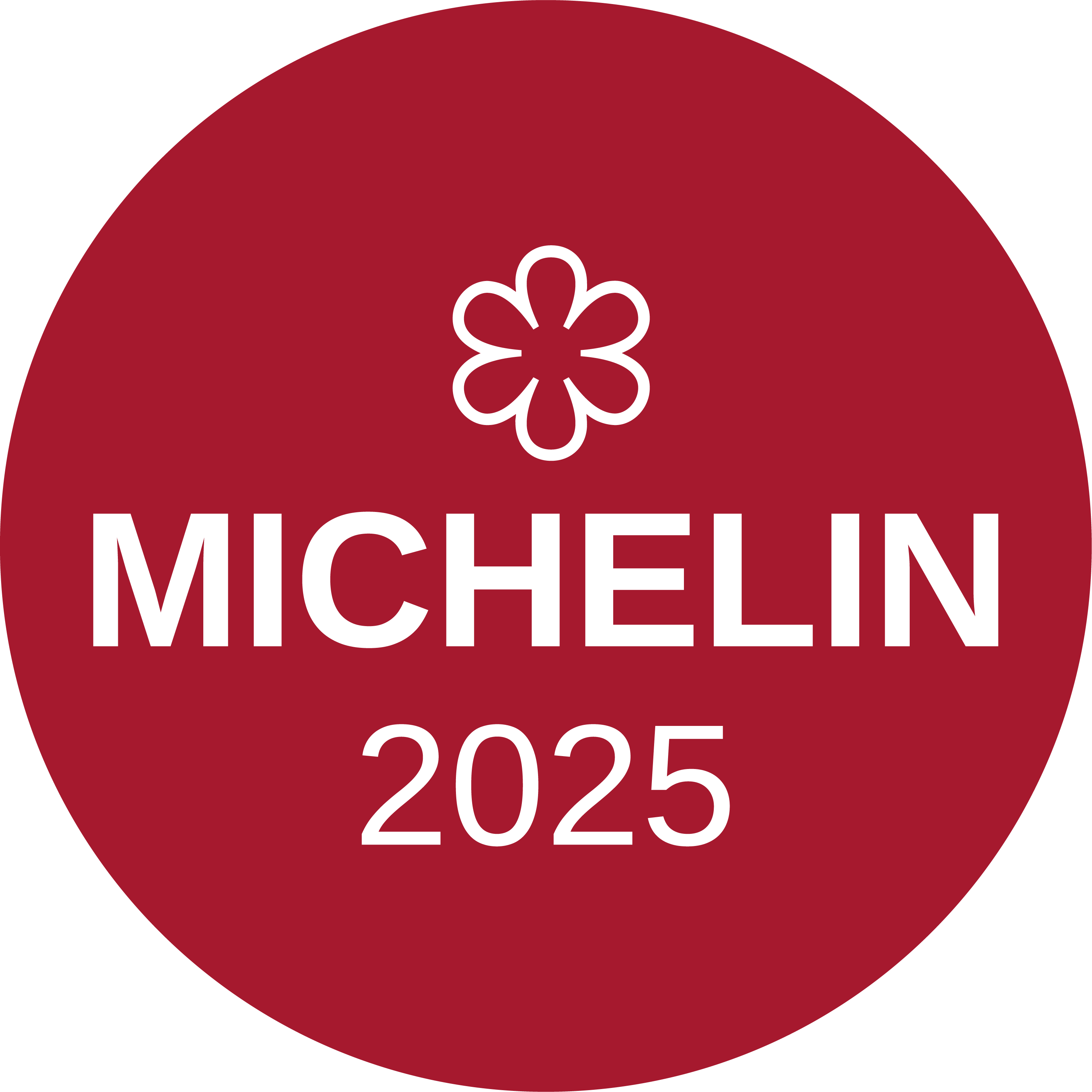 Logo Michelin 2025