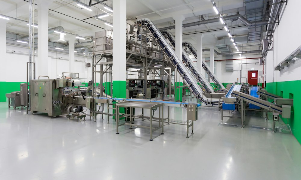 Food and process plant