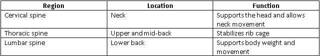 VA disability rating spine regions: cervical neck, thoracic mid-back, and lumbar lower back. VA disability rating spine regions: cervical neck, thoracic mid-back, and lumbar lower back.