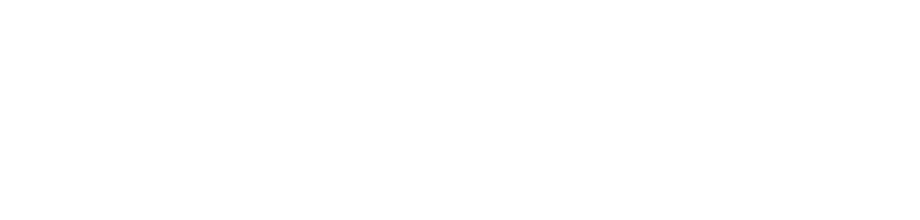 Ossama Hamdi — Brandamax