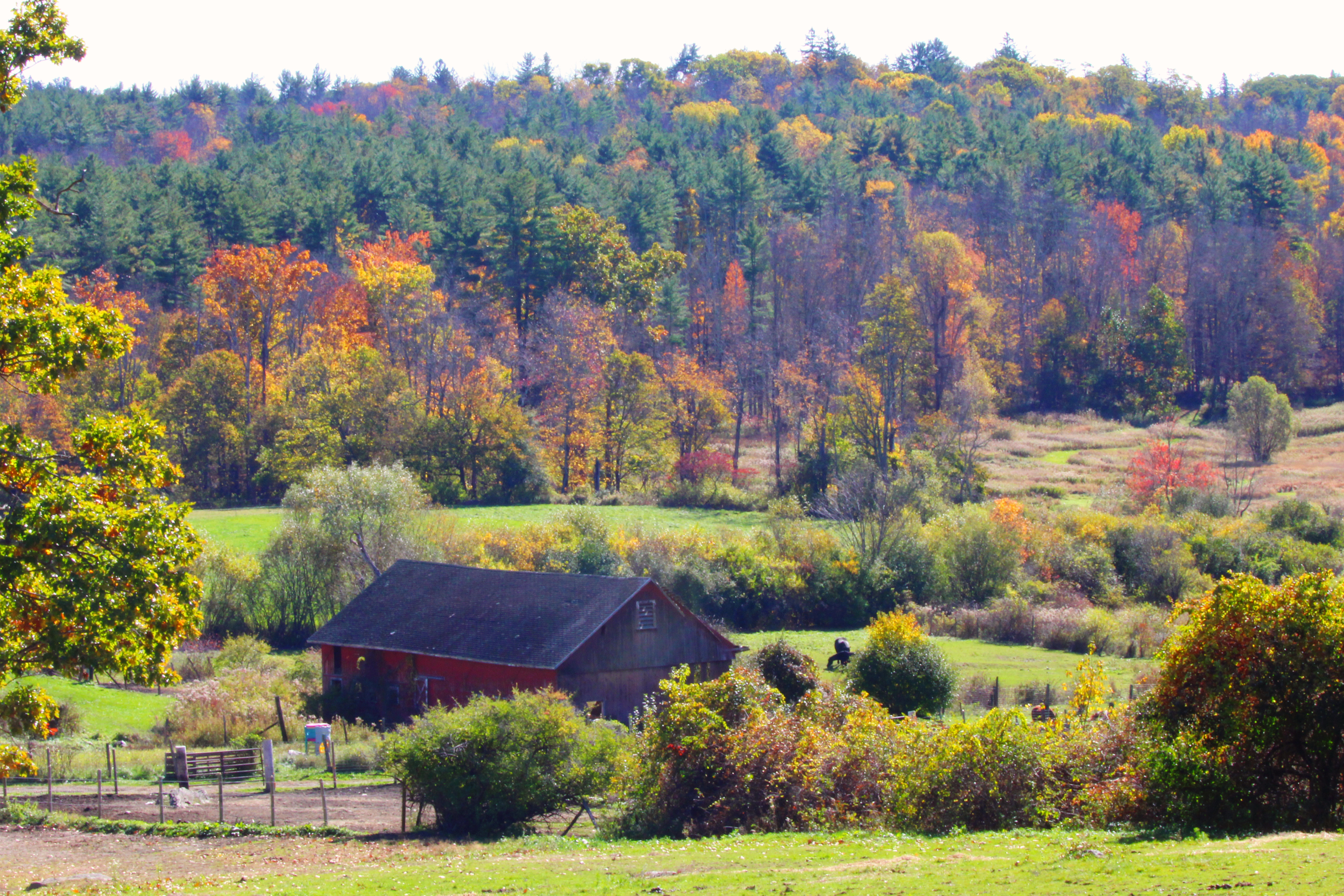 Historic 1902 Gilded Age barn architecture at HomeFarm