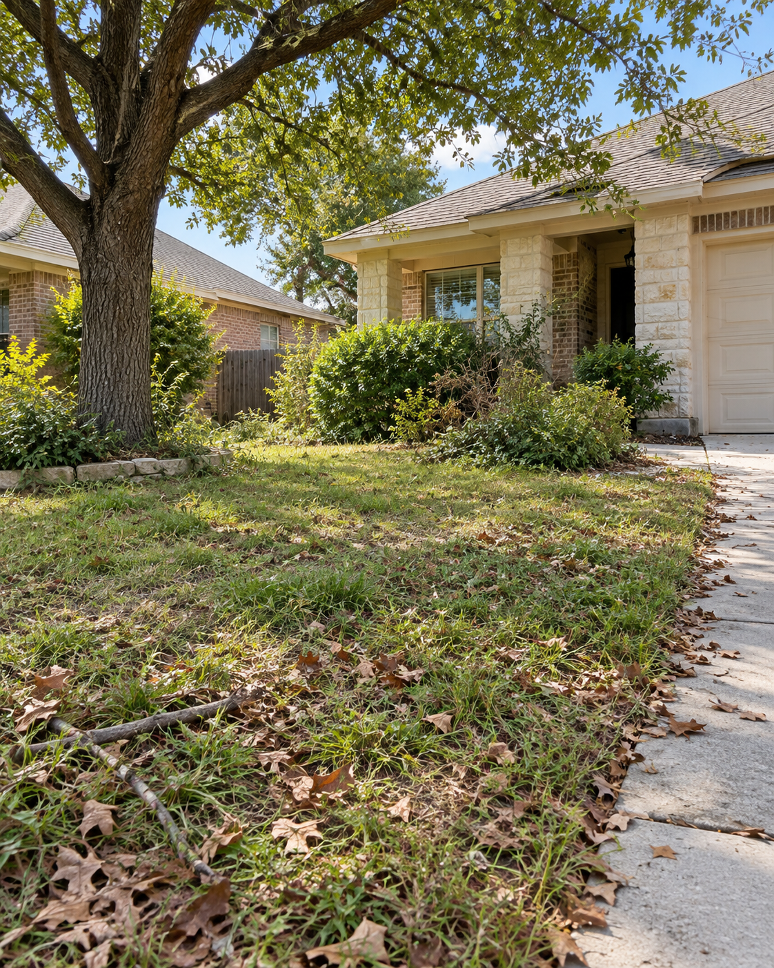 Yard before cleanup with overgrown grass, weeds and debris