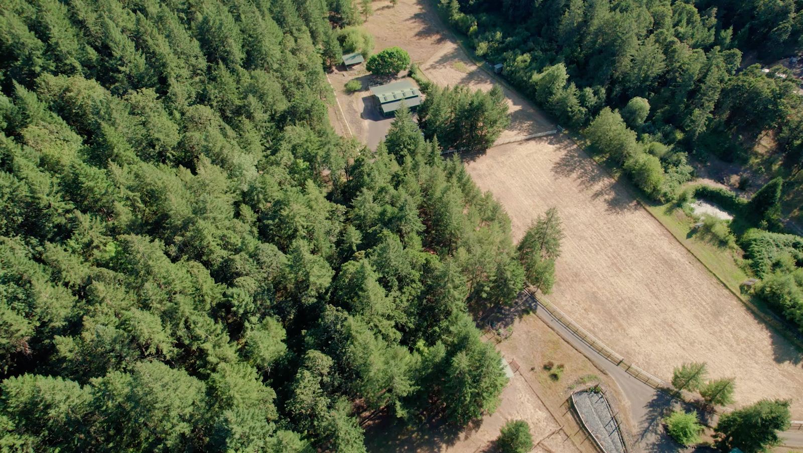 Aerial view of forest and open land at The Barnhart Homestead