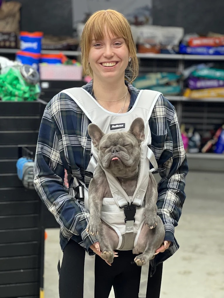 Staff holding frenchie