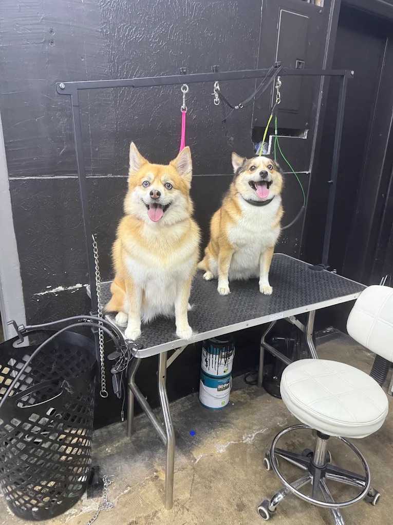 Deshedding Treatment