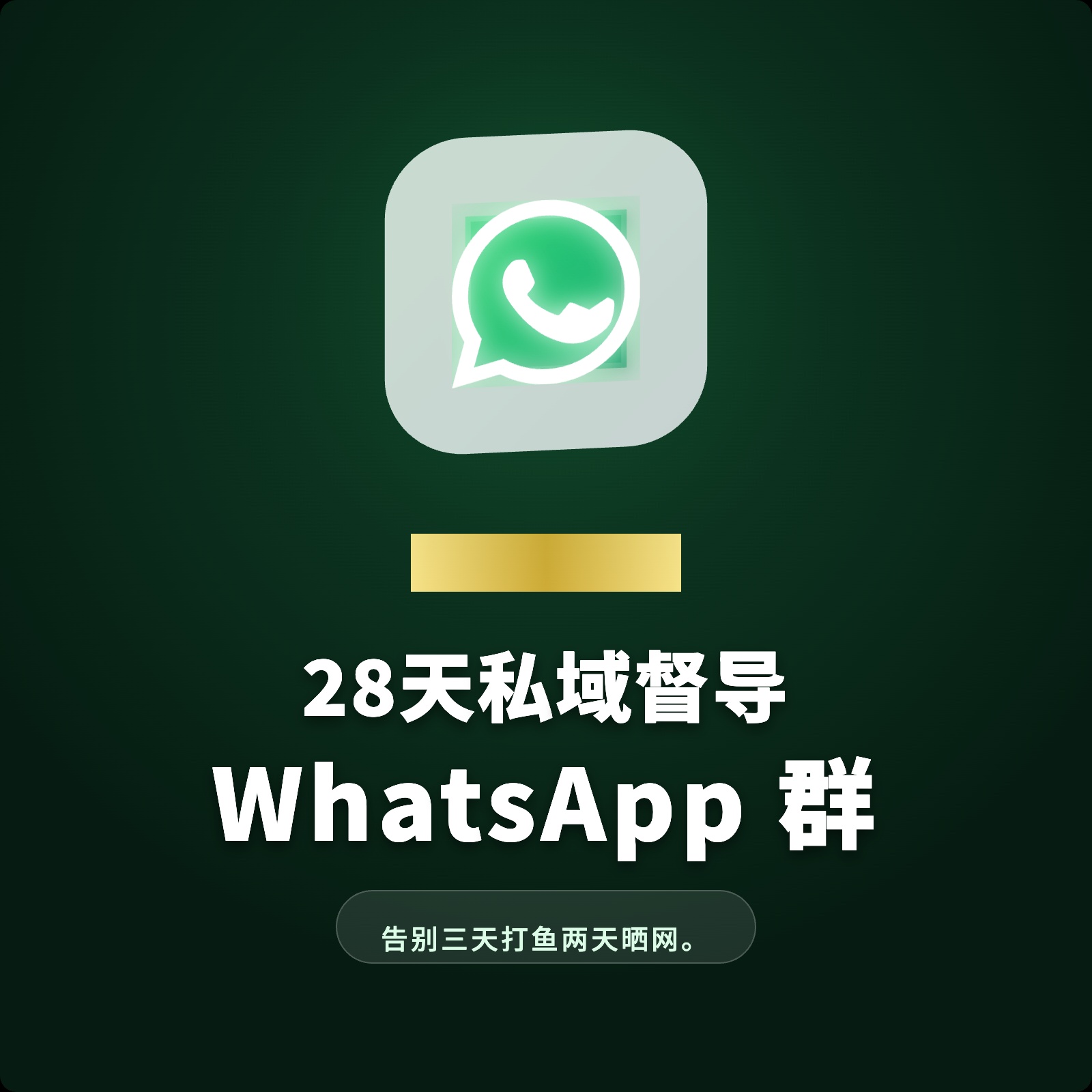 专属美睫顾问 28天私域督导群