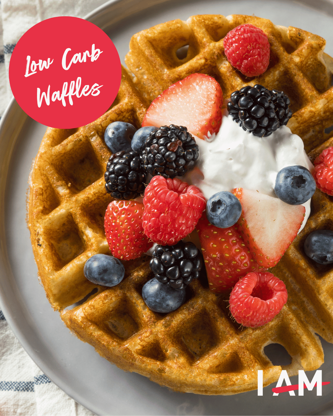 Anna McManamey Transformation Recipe E-Book Low Carb Waffles