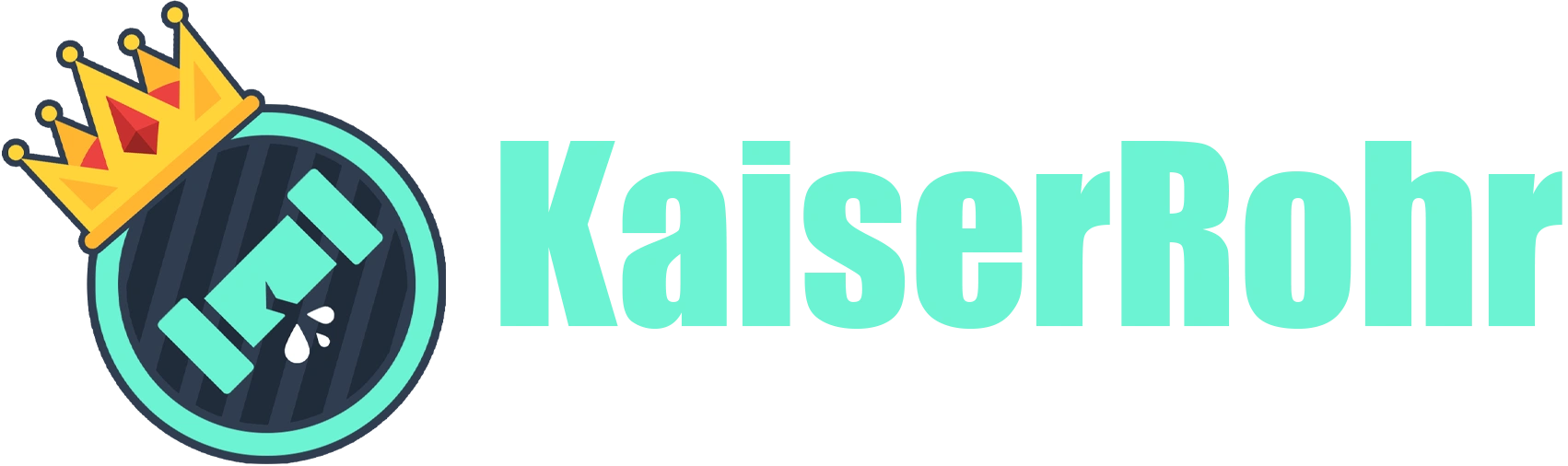 KaiserRohr Rohrreinigung Wien logo