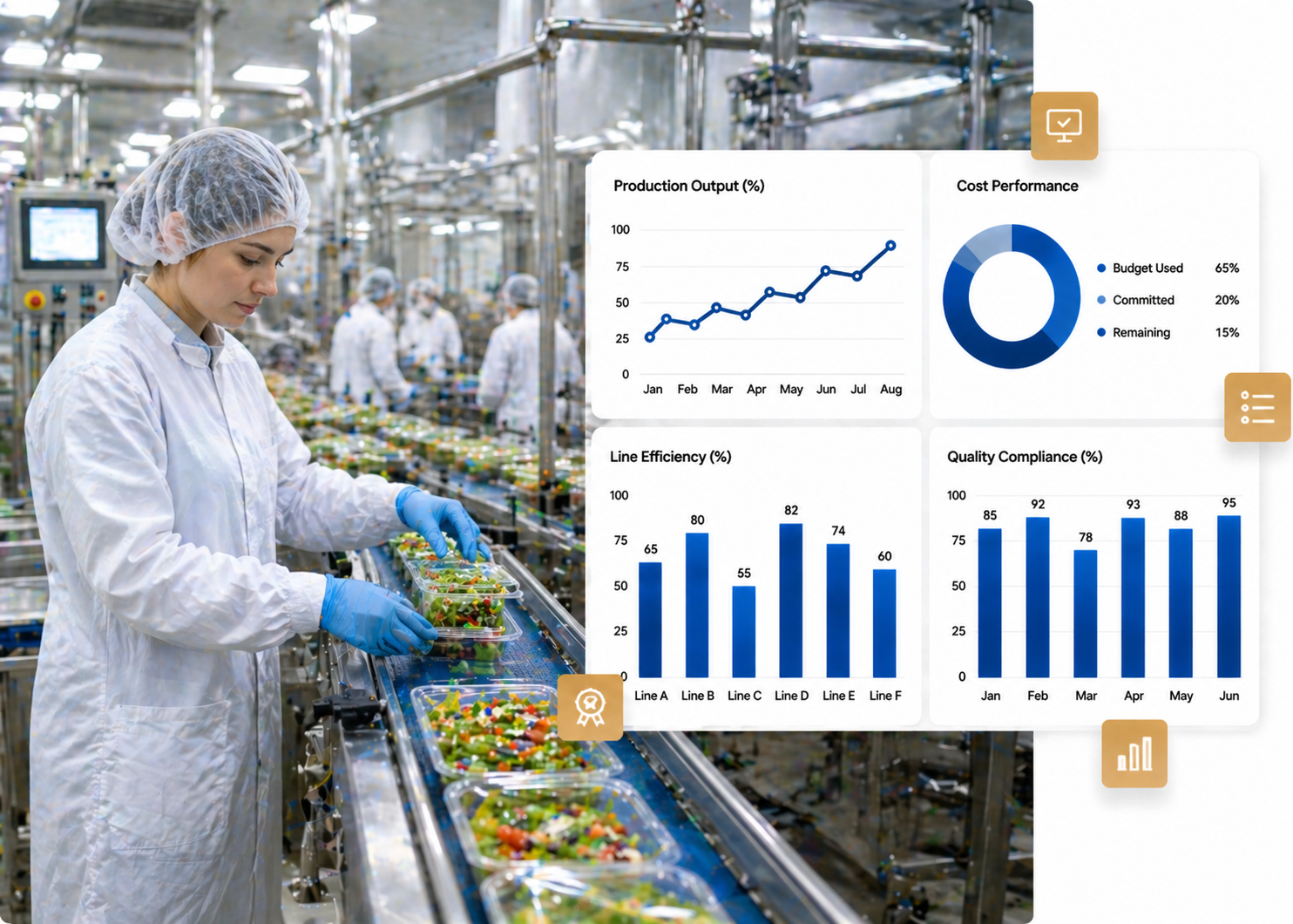 professional services