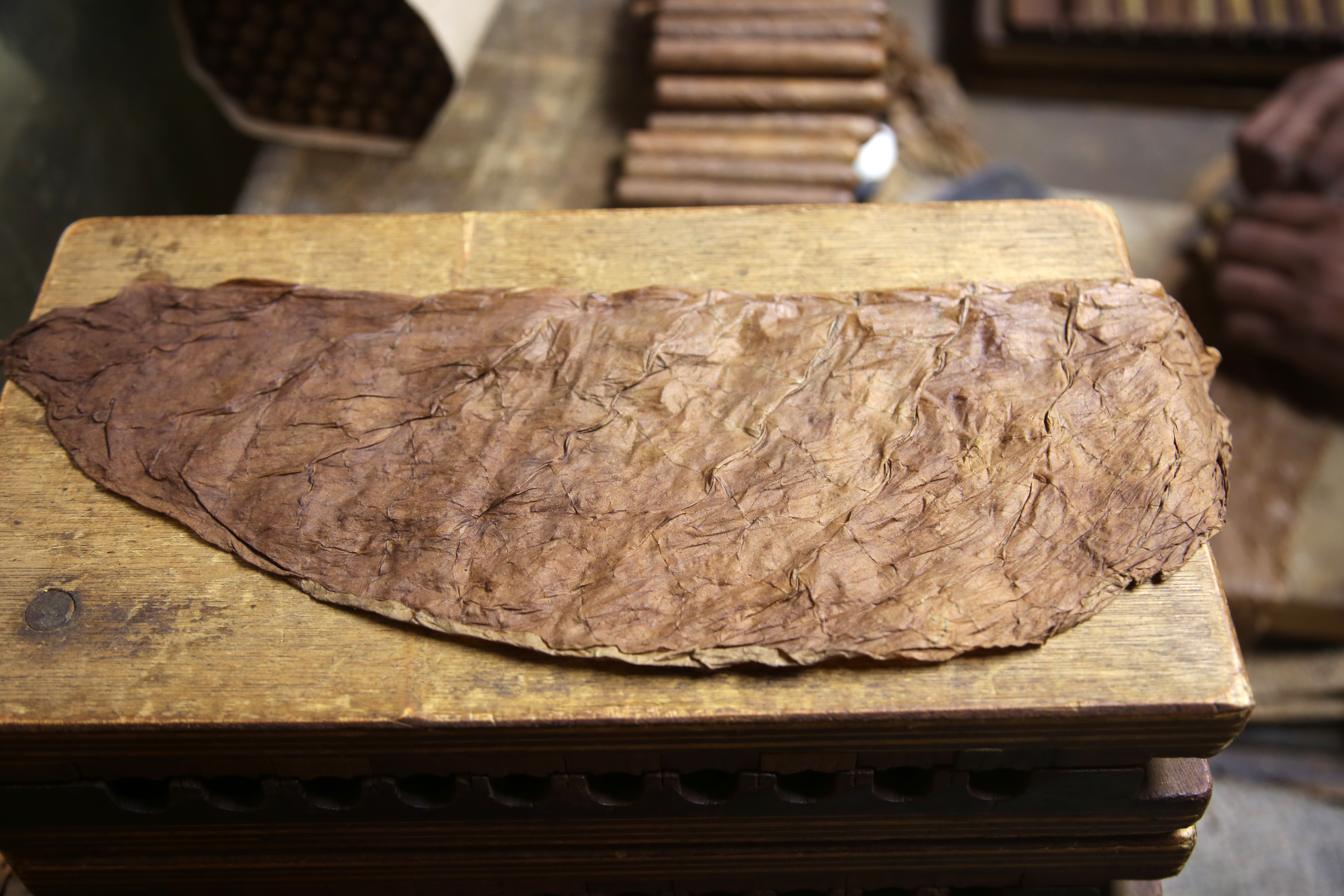 Whole Leaf Fillers