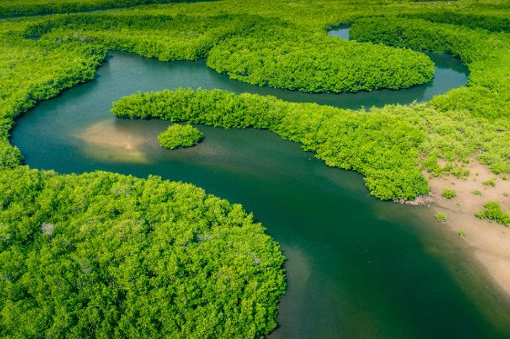Encontro das águas na Amazónia, perto de Manaus