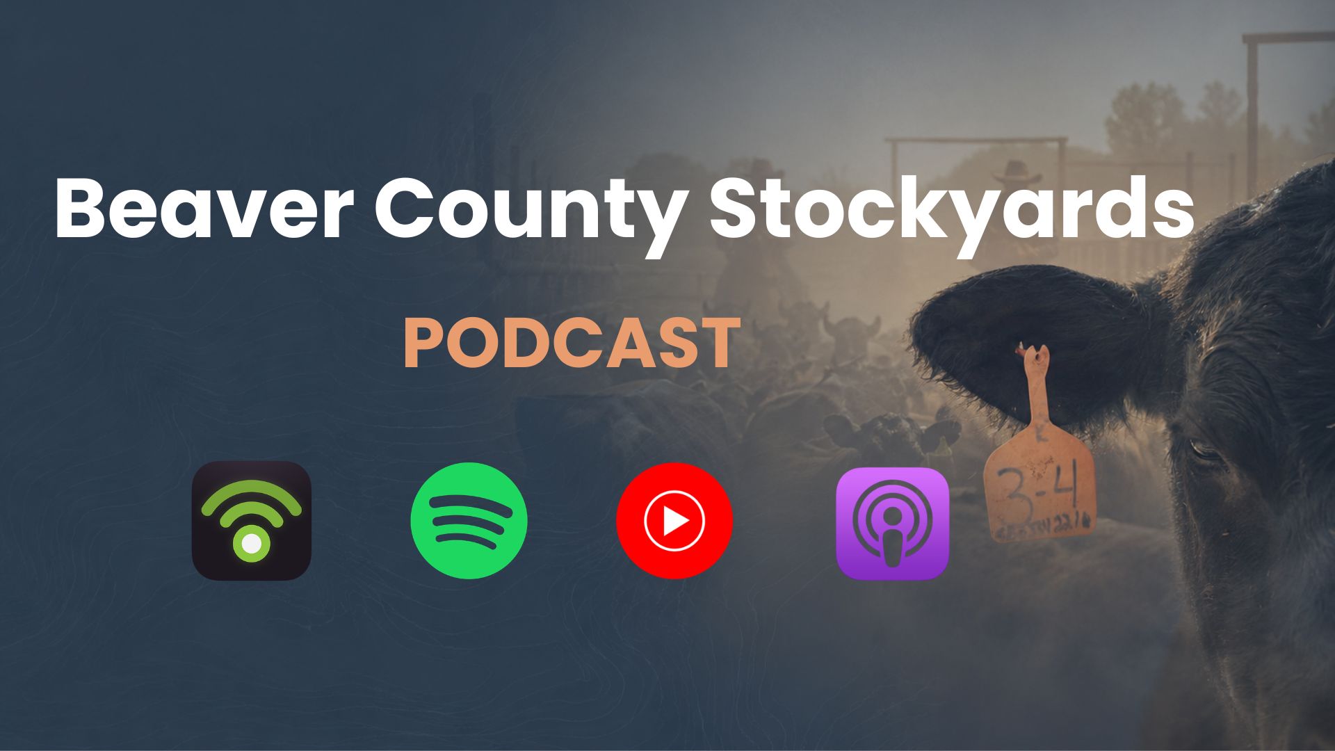 Beaver County Stockyards Podcast | Beaver County Stockyards