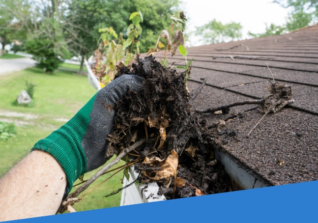 Gutter Cleaning Job in Northland
