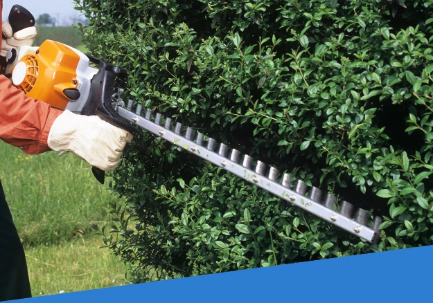 Hedge Trimming Job
