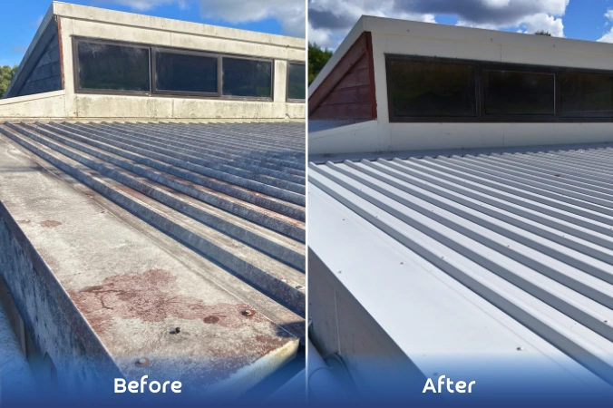 Roof Clean & Paint Before/After