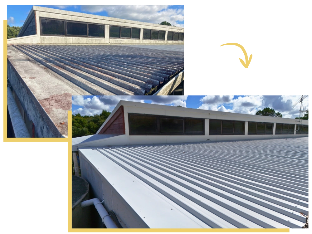 Professional roof painting by Premier Exteriors providing long-lasting colour and weather resistance in Northland