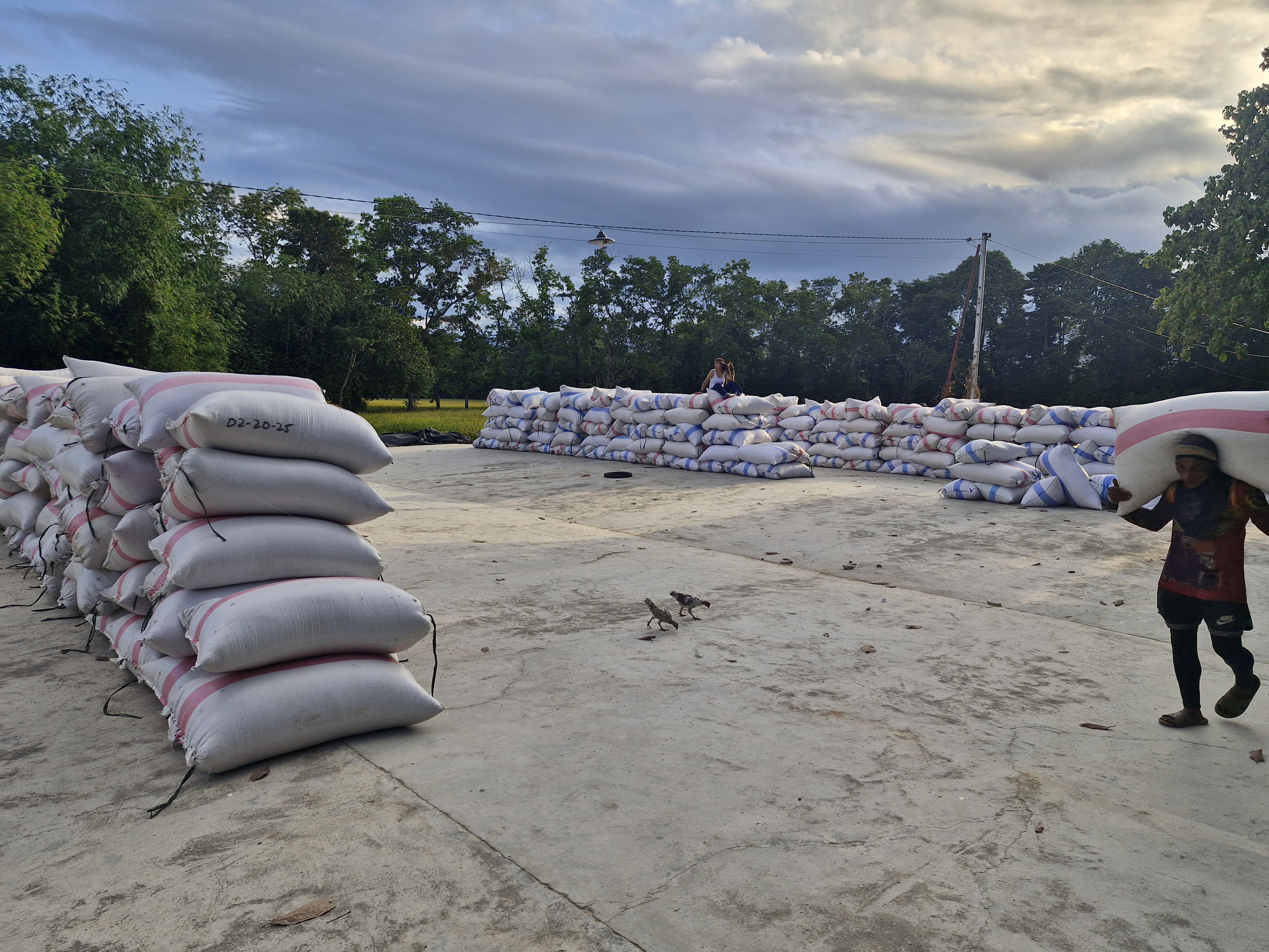 woman in pink shirt and blue denim jeans sitting on brown rock near river during daytime
