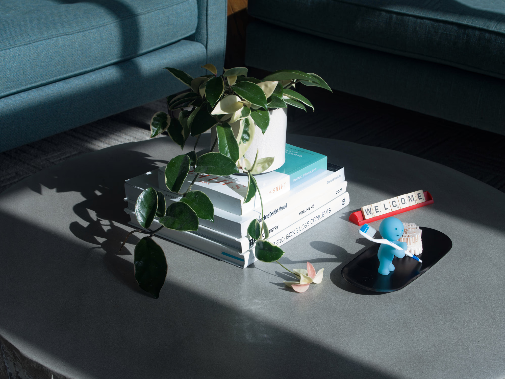 Bridgeway Dental - Modern Dental Office in the Bronx