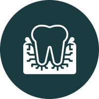 X-Rays Reveal What Eyes Can't See